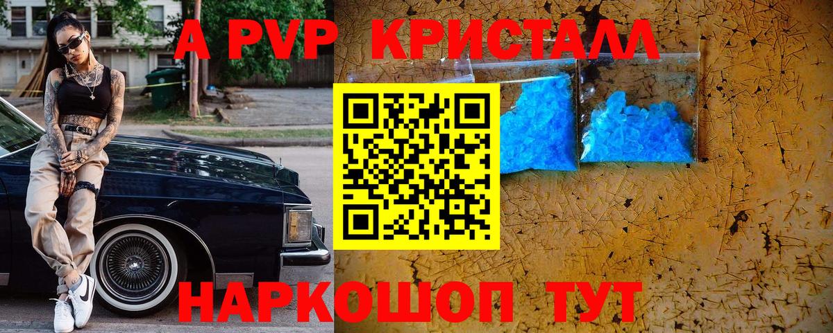 APVP СК Сальск