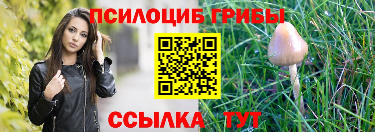 Галлюциногенные грибы мухоморы  Галлюциногенные грибы ЛСД  Сальск  Вход с VPN 