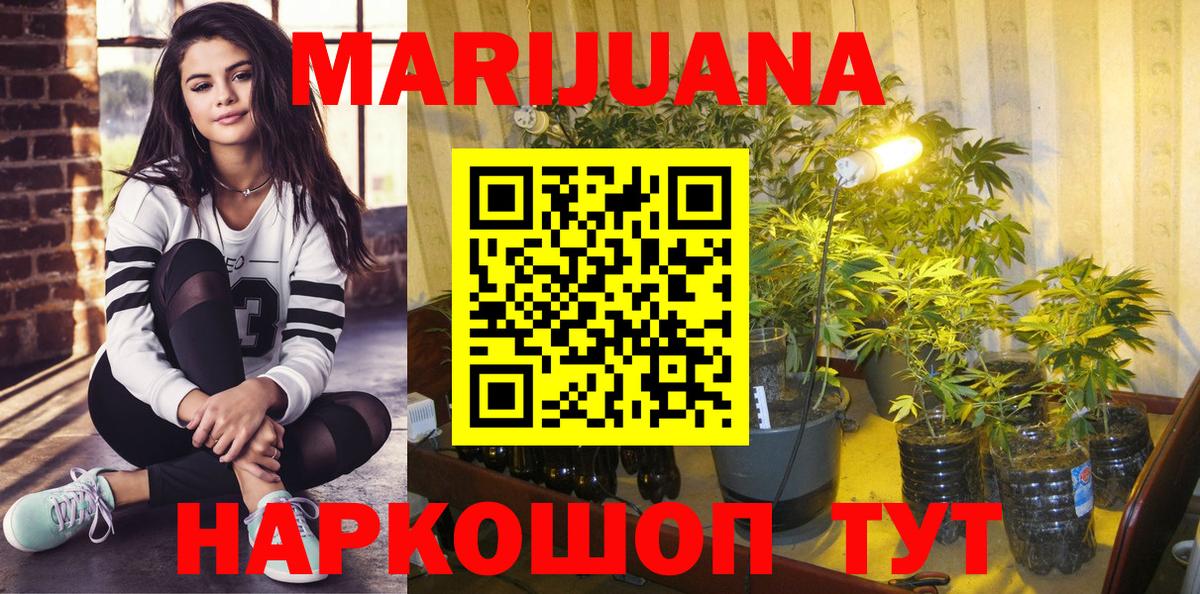МАРИХУАНА OG Kush Сальск